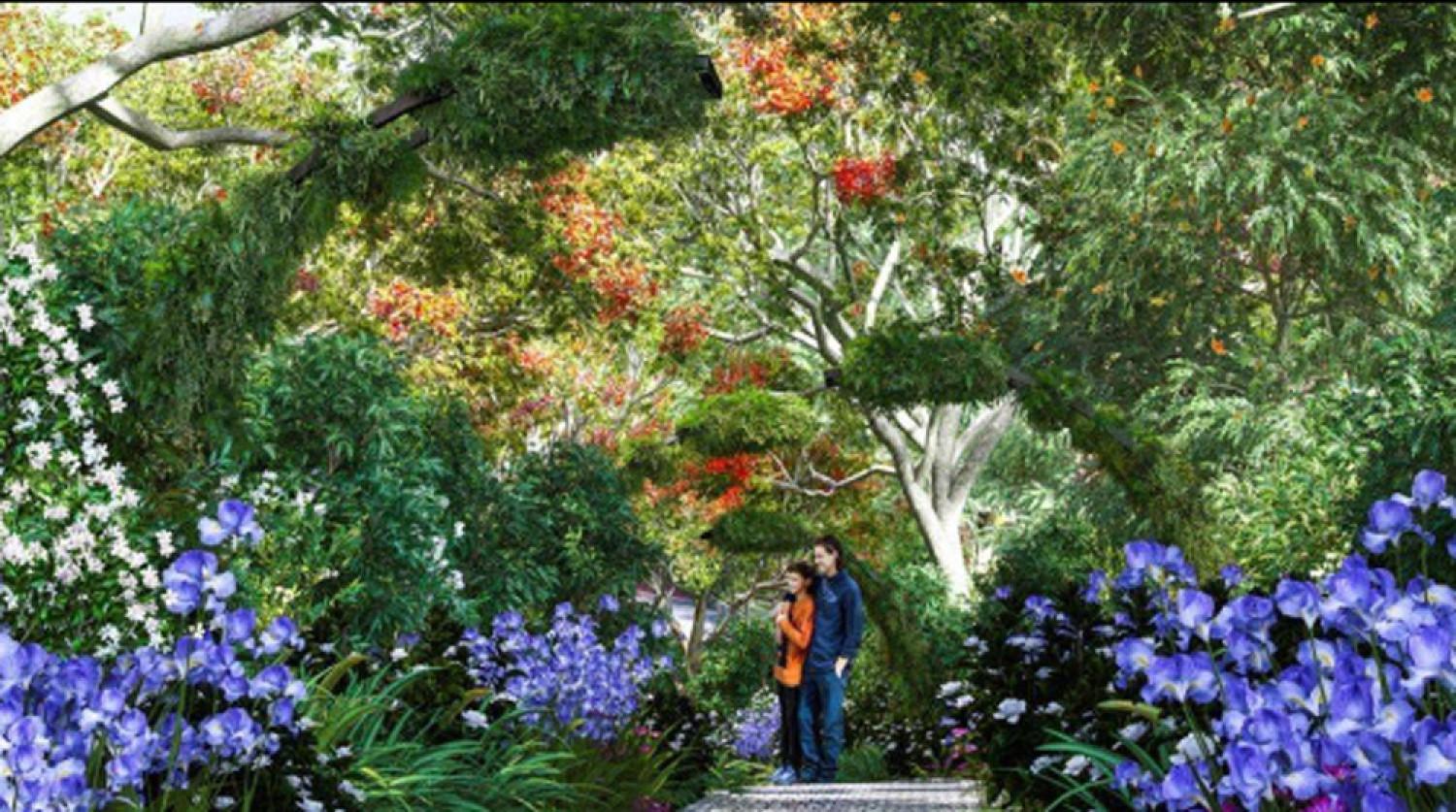 Garden