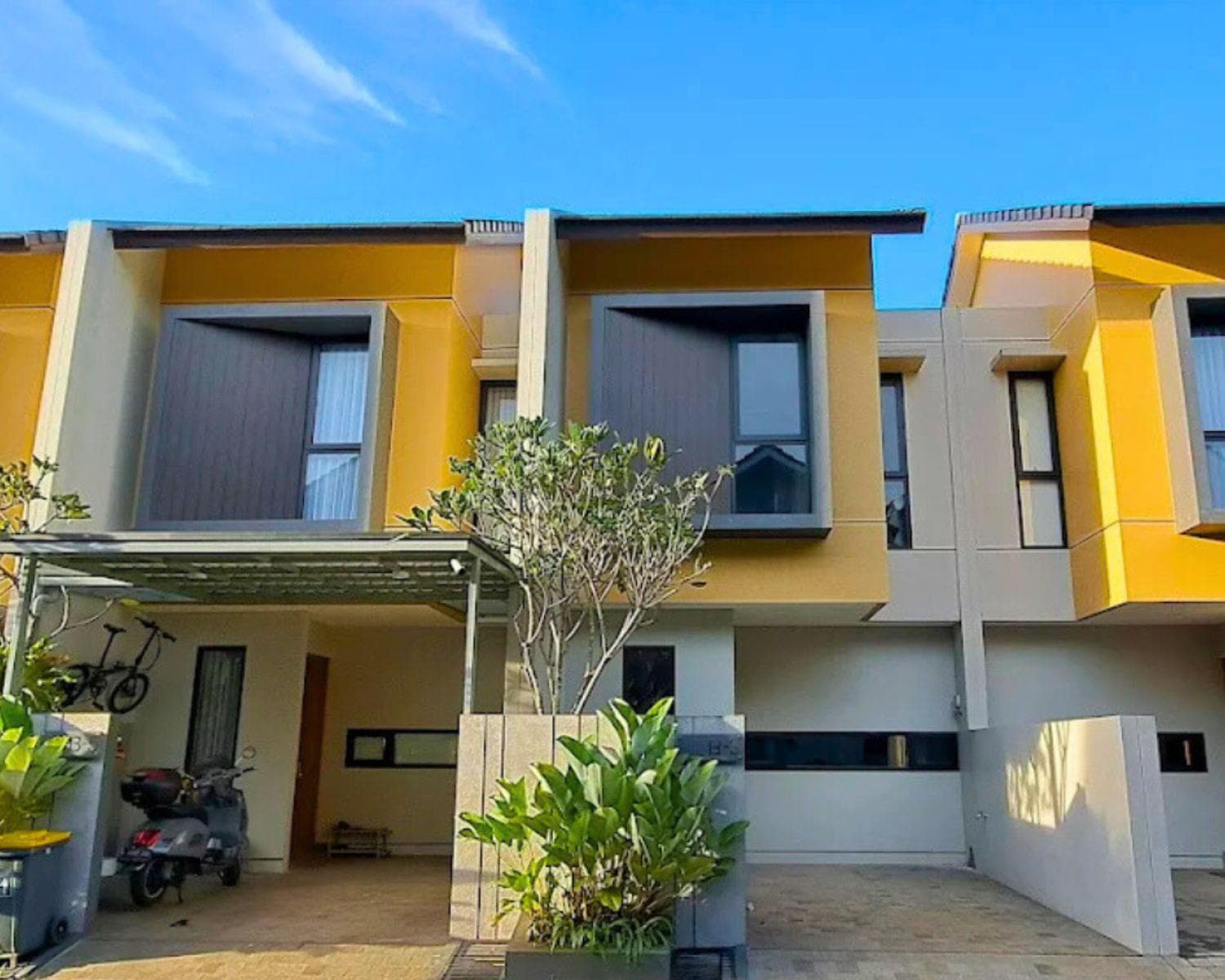 Facade Tipe Maple