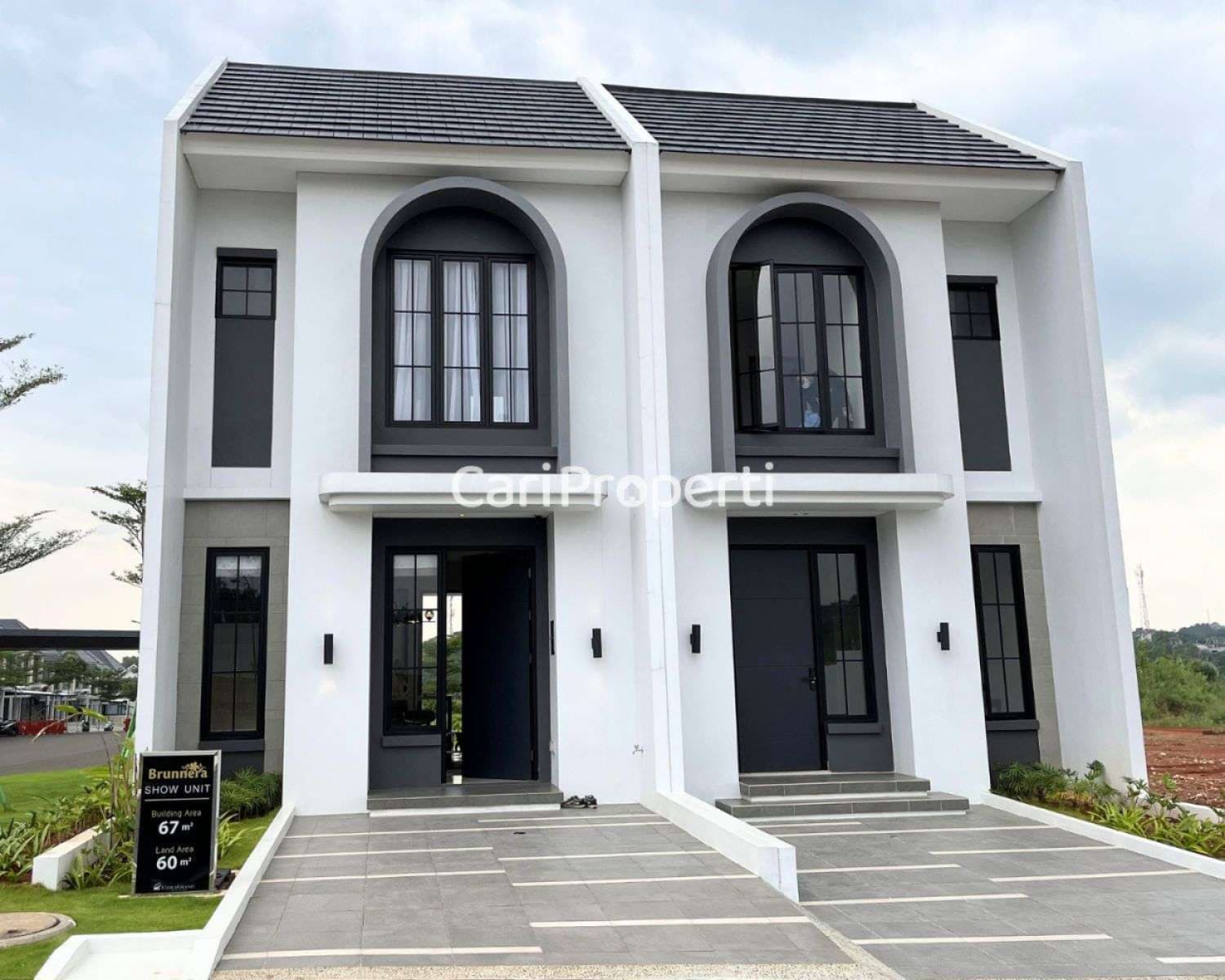 Brunnera CitraGrand Cibubur